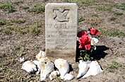Click to Enlarge
