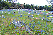 Click to Enlarge
