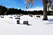 Click to Enlarge